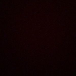 Meet your Posher, Lilly